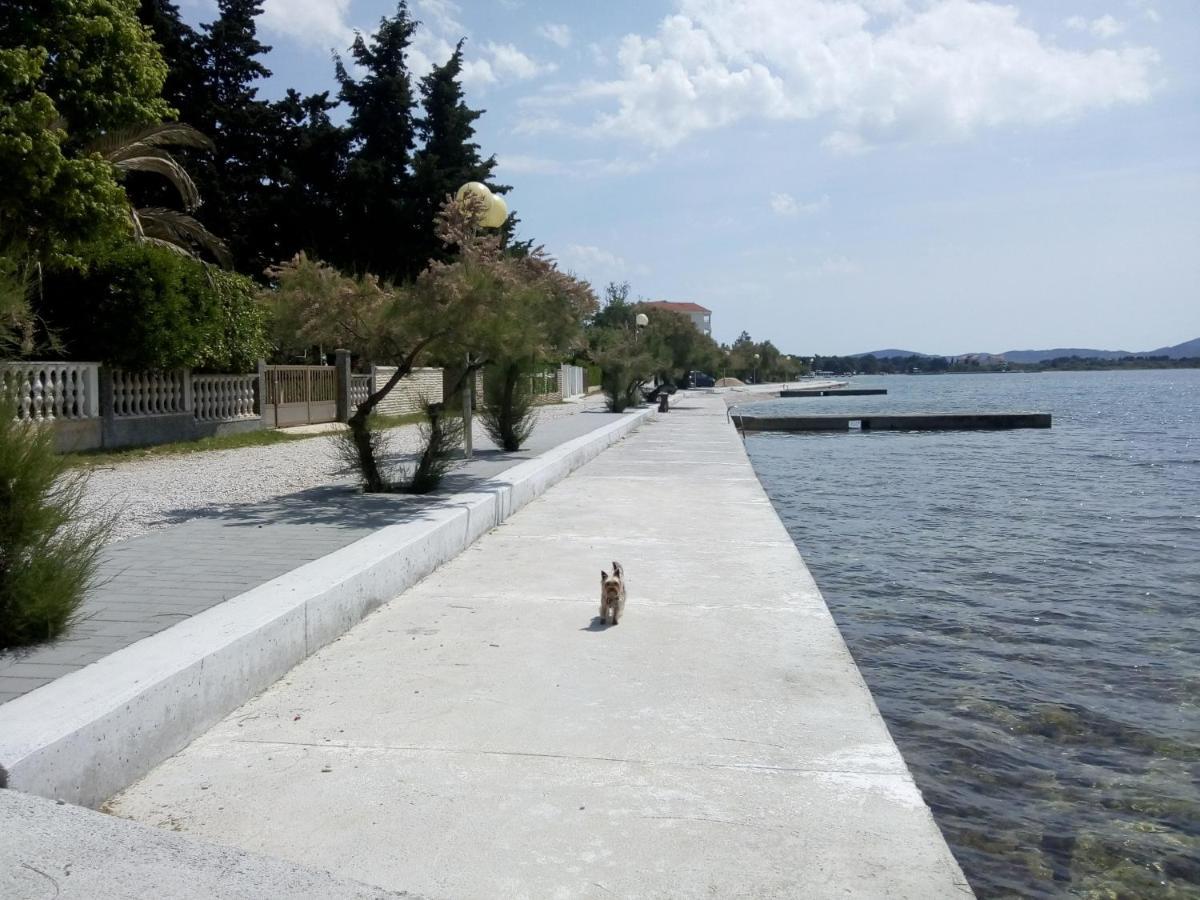 Apartments Franica Zadar Exteriér fotografie